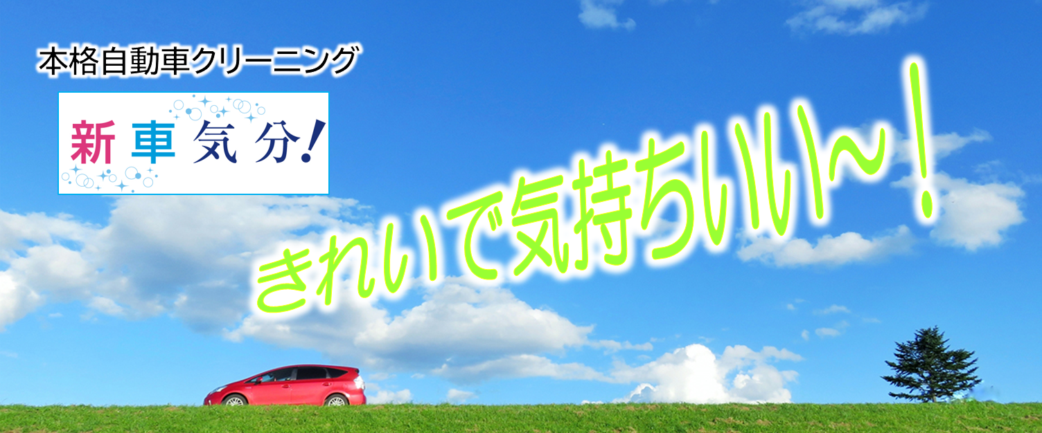 外も中も一台まるごとキレイに！本格自動車クリーニングで新車気分！